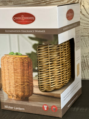 Wicker Lantern Fragrance Warmer